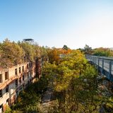 Baumwipfelpfad Beelitzer Heilstätten