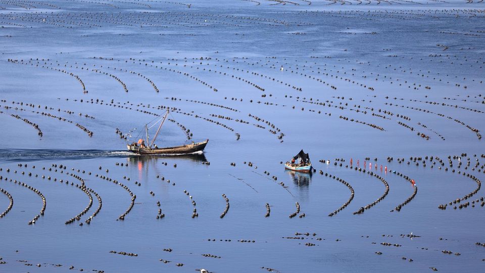 Fischerboote auf einer Aquafarm in der Provinz Liaoning