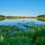 Biosphärenreservart Frankreich