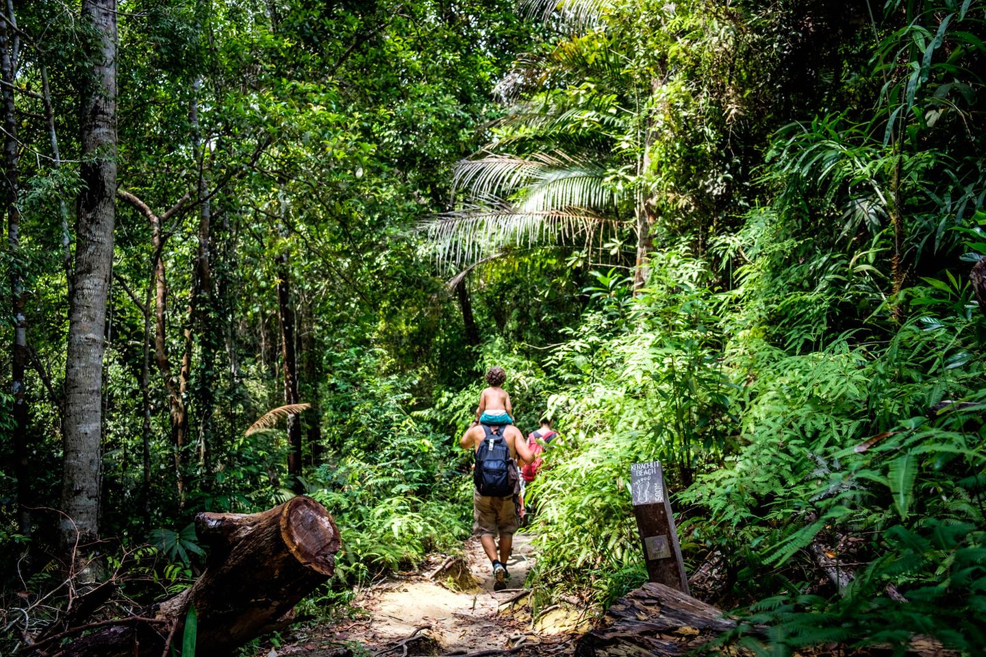 Familie wandert im Penang Nationalpark