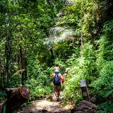 Familie wandert im Penang Nationalpark