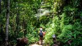 Familie wandert im Penang Nationalpark