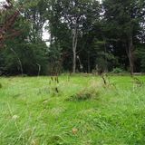 Höchste natürliche Erhebung im Friedehorstpark Bremen