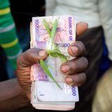 Seit den 1990er Jahren ist die zweimal im Jahr stattfindende Heuschreckenjagd für immer mehr Ugander zu einem lebenswichtigen Geschäft geworden. Sie bietet Arbeitsplätze für unzählige Menschen: von denen, die sie fangen, über die, die sie verkaufen, bis zu denen, die sie zubereiten. So können Schulden beglichen und Schulgebühren bezahlt werden. Doch in den letzten Jahren wurde es angesichts der sich verändernden Umweltbedingungen und einer wachsenden Zahl von Menschen, die um denselben Fang konkurrieren, immer schwieriger, Gewinne zu erzielen.