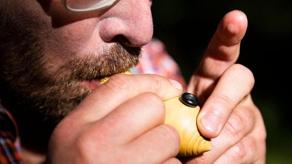 Europa, Deutschland, Göhrde, 11.09.2019.
Schweigewanderung in der Göhrde. © 2019 Lucas Wahl Twitter, alte Schule: Vogelpfeifen dienen als Kommunikationsmittel to go, sollen Signalton sein, falls es etwas zu sehen, zu "sagen" gibt. Doch auch ohne SOS-Situationen wird das Gezwitscher zum Touren-Soundtrack