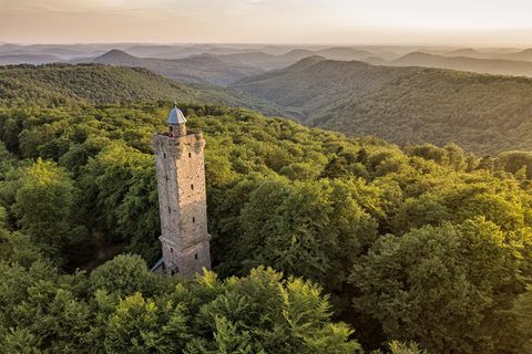 Fast unendliche Weiten: Der Pfälzerwald ist Deutschlands größtes zusammenhängendes Waldgebiet und bildet mit den Nordvogesen ein grenzüberschreitendes UNESCO-Biosphärenreservat