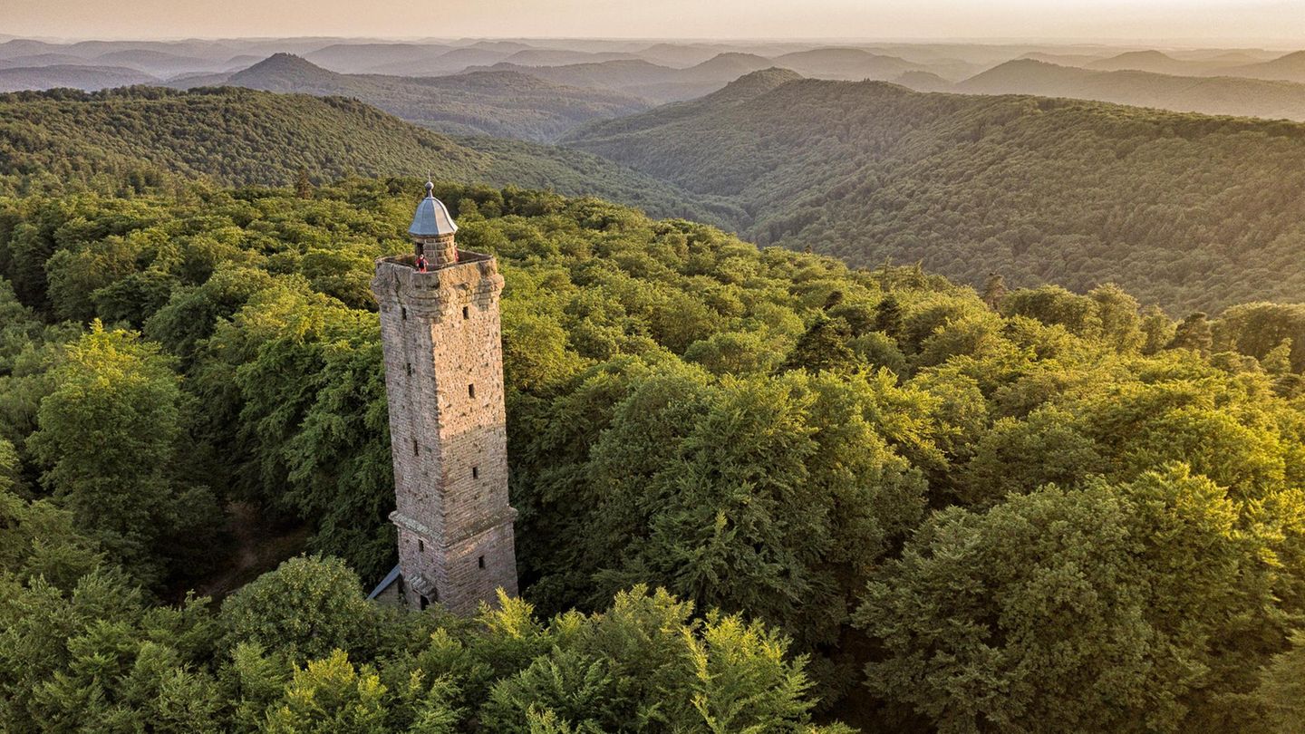 Fast unendliche Weiten: Der Pfälzerwald ist Deutschlands größtes zusammenhängendes Waldgebiet und bildet mit den Nordvogesen ein grenzüberschreitendes UNESCO-Biosphärenreservat
