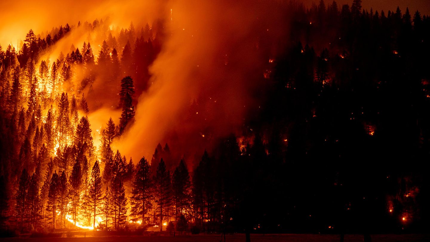 Genesee, USA: Die Flammen des Dixie-Feuers breiten sich immer weiter aus. Die verheerenden Waldbrände in verschiedenen Regionen der nördlichen Hemisphäre haben in diesem Jahr Kohlenstoff-Emissionen in Rekordhöhe verursacht