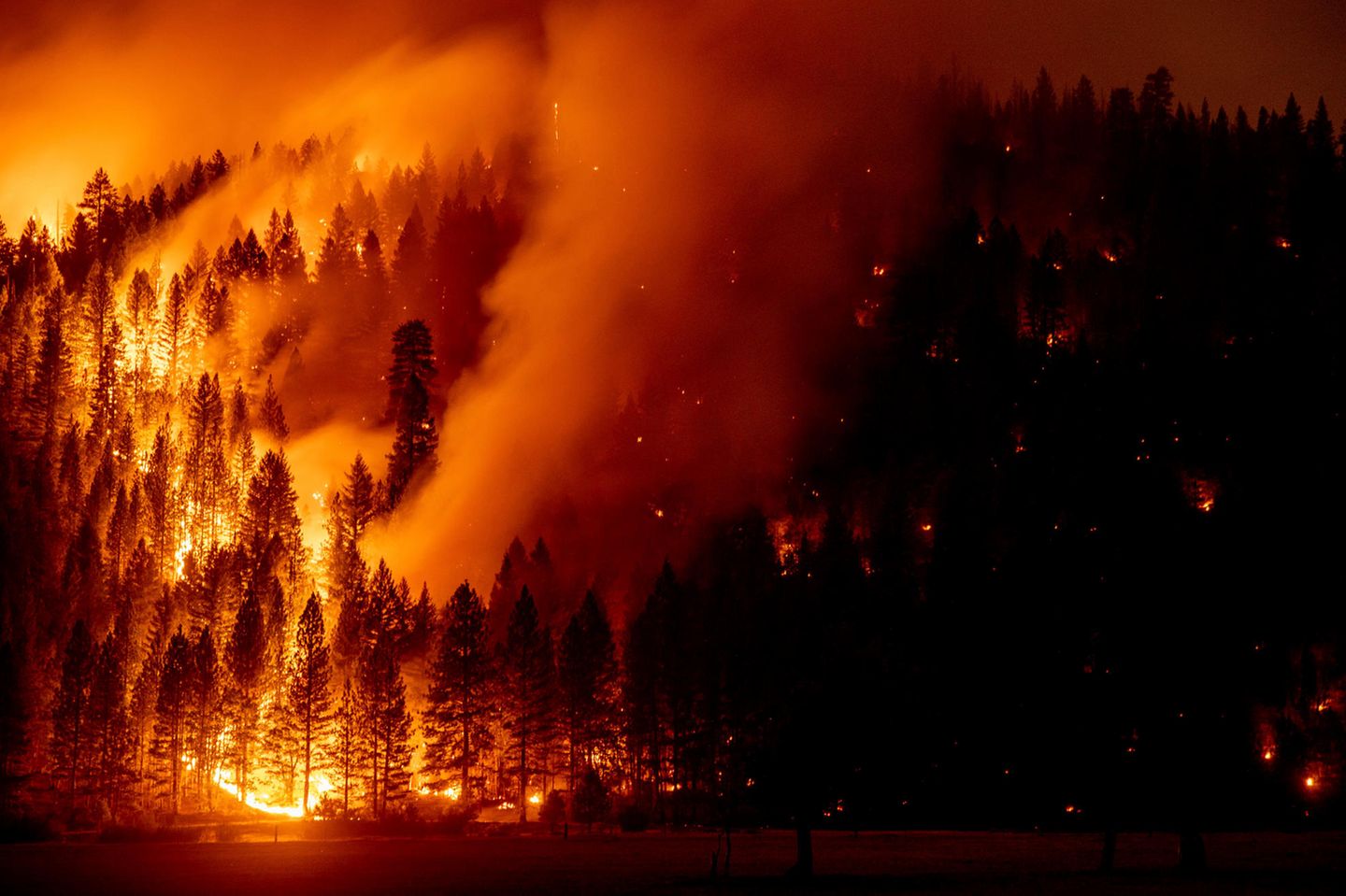 Genesee, USA: Die Flammen des Dixie-Feuers breiten sich immer weiter aus. Die verheerenden Waldbrände in verschiedenen Regionen der nördlichen Hemisphäre haben in diesem Jahr Kohlenstoff-Emissionen in Rekordhöhe verursacht