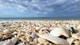 blind pass Beach Florida
