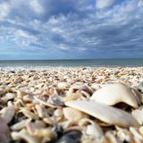 blind pass Beach Florida