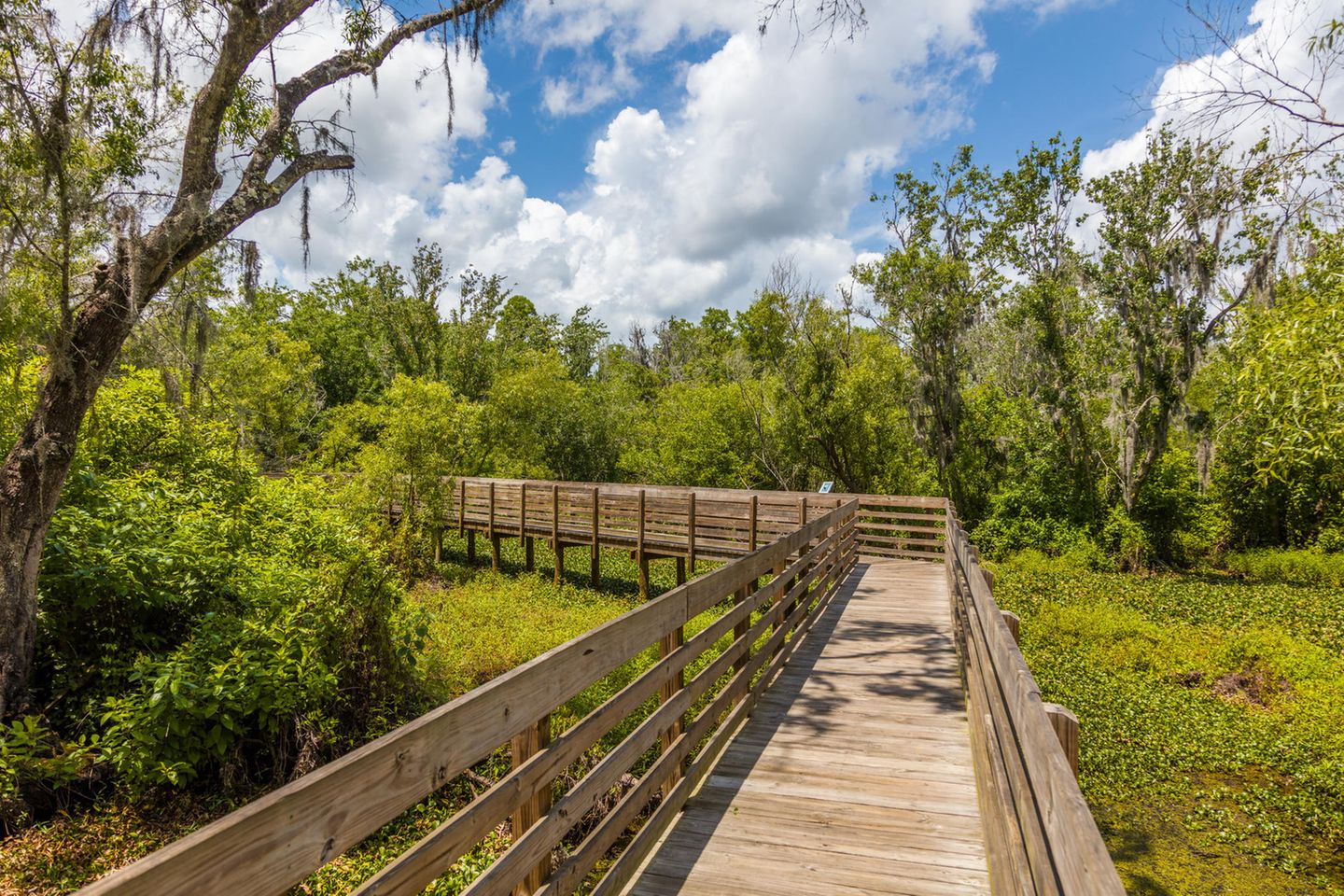Holzbohlenweg im Lakes Park bei Fort Myers in Florida Holzbohlenweg im Lakes Park bei Fort Myers in Florida