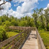 Holzbohlenweg im Lakes Park bei Fort Myers in Florida