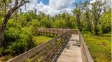 Holzbohlenweg im Lakes Park bei Fort Myers in Florida