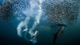 Ausstellung im Gasometer Oberhausen: In der Ausstellung begeben sich Besucherinnen und Besucher auf eine bildgewaltige Reise durch die bewegte Klimageschichte unserer Erde. Ständige Begleiter sind preisgekrönte Fotografien und Filmmaterial, die den Wandel der Tier- und Pflanzenwelt in Zeiten des Anthropozäns eindrucksvoll veranschaulichen.