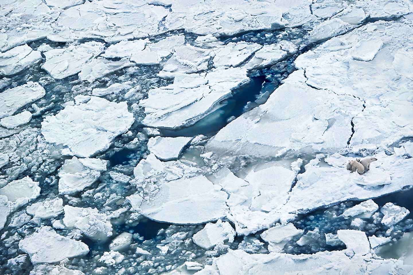 Ausstellung im Gasometer Oberhausen: "Ziel der Ausstellung ist es, die schützenswerte Schönheit unseres Planeten zu zeigen", erklärt Jeanette Schmitz, Geschäftsführerin der Gasometer GmbH, "das heißt aber auch, auf Missstände hinzuweisen, die unser Paradies bedrohen. Bereits heute gibt es allerdings vielversprechende Lösungsansätze, die wir exemplarisch darstellen."