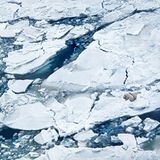 Ausstellung im Gasometer Oberhausen: "Ziel der Ausstellung ist es, die schützenswerte Schönheit unseres Planeten zu zeigen", erklärt Jeanette Schmitz, Geschäftsführerin der Gasometer GmbH, "das heißt aber auch, auf Missstände hinzuweisen, die unser Paradies bedrohen. Bereits heute gibt es allerdings vielversprechende Lösungsansätze, die wir exemplarisch darstellen."