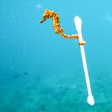 Ausstellung im Gasometer Oberhausen: Die Spannungen zwischen der überwältigenden Schönheit unseres Planeten und gleichzeitig dessen erschreckender Zerstörung ziehen sich wie ein roter Faden durch die Ausstellung. Dazu hat das Museums-Team Originalexponate aus den vergangenen 180 Millionen Jahren zusammengetragen.