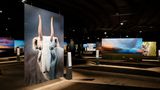 Ausstellung im Gasometer Oberhausen: Die Ausstellung "Das zerbrechliche Paradies" wird bis zum 30. Dezember 2022 im Gasometer Oberhausen zu sehen sein. Bis dahin entdecken Besucherinnen und Besucher unter dem Motto "Eine Erde – viele Welten" im Rund unter der Gasdruckscheibe auf einzigartigen großformatigen Fotografien die paradiesische Artenvielfalt unseres Planeten.