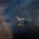 Thomas Vijayan/Drone Photo Awards 2021