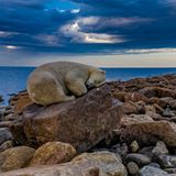 Martin Gregus/Drone Photo Awards 2021