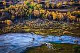 Um das Hochplateau in der Inneren Mongolei im sanften Morgenlicht fotografieren zu können, muss Weimin Qi klettern. Oben angekommen, kreiert er ein Bild mit Dreiklang. Die ziehenden Schafe, der sich ausdehnende Fluss und die bunten Wälder. Die Natur hat ihren eigenen Rhythmus.