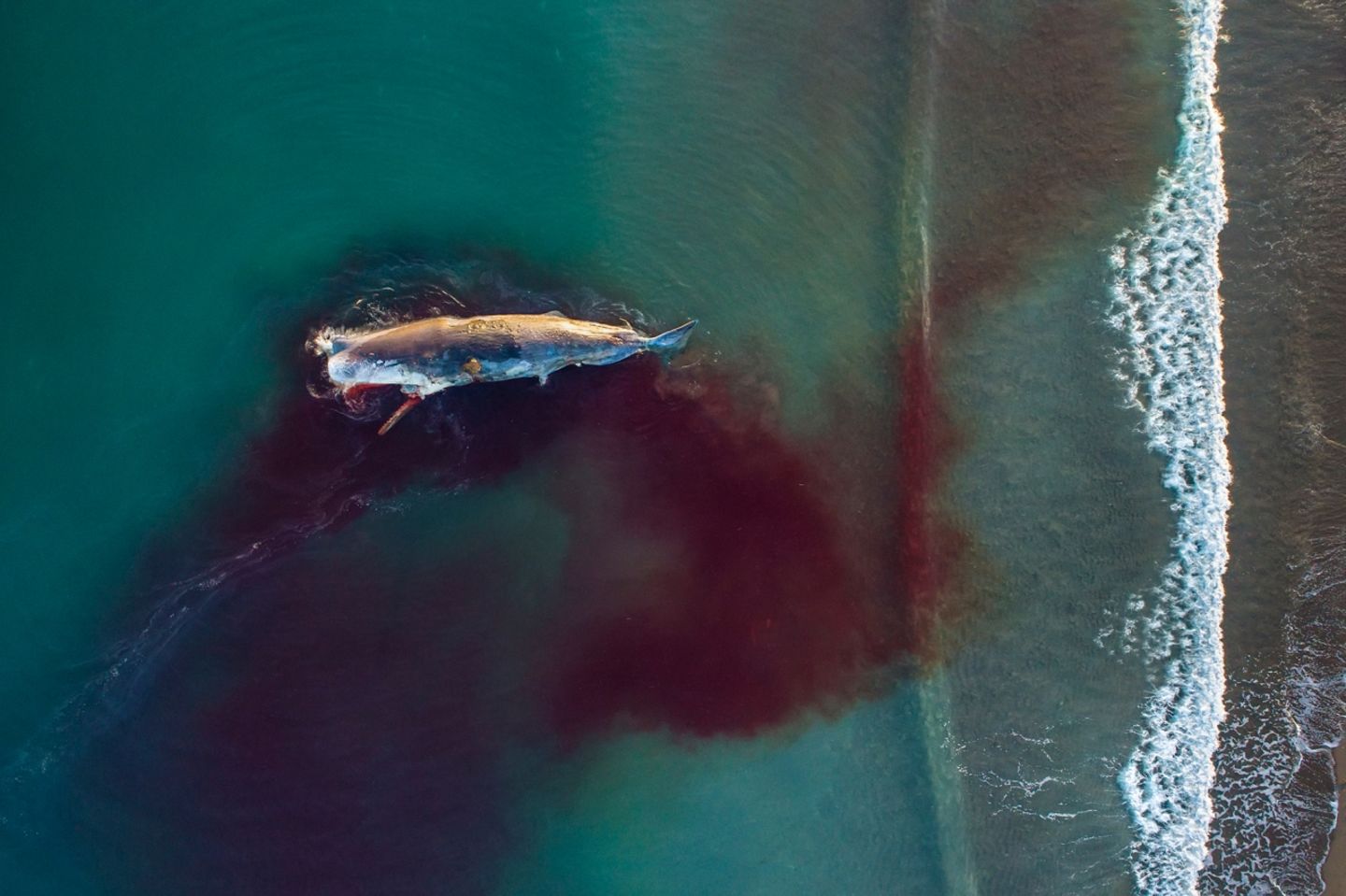 Elizabeth Moreno/Drone Photo Awards 2021