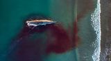 Elizabeth Moreno/Drone Photo Awards 2021