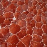 George Steinmetz/Drone Photo Awards 2021