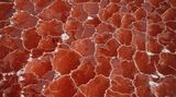 George Steinmetz/Drone Photo Awards 2021