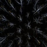 Silvano Paiola/Drone Photo Awards 2021