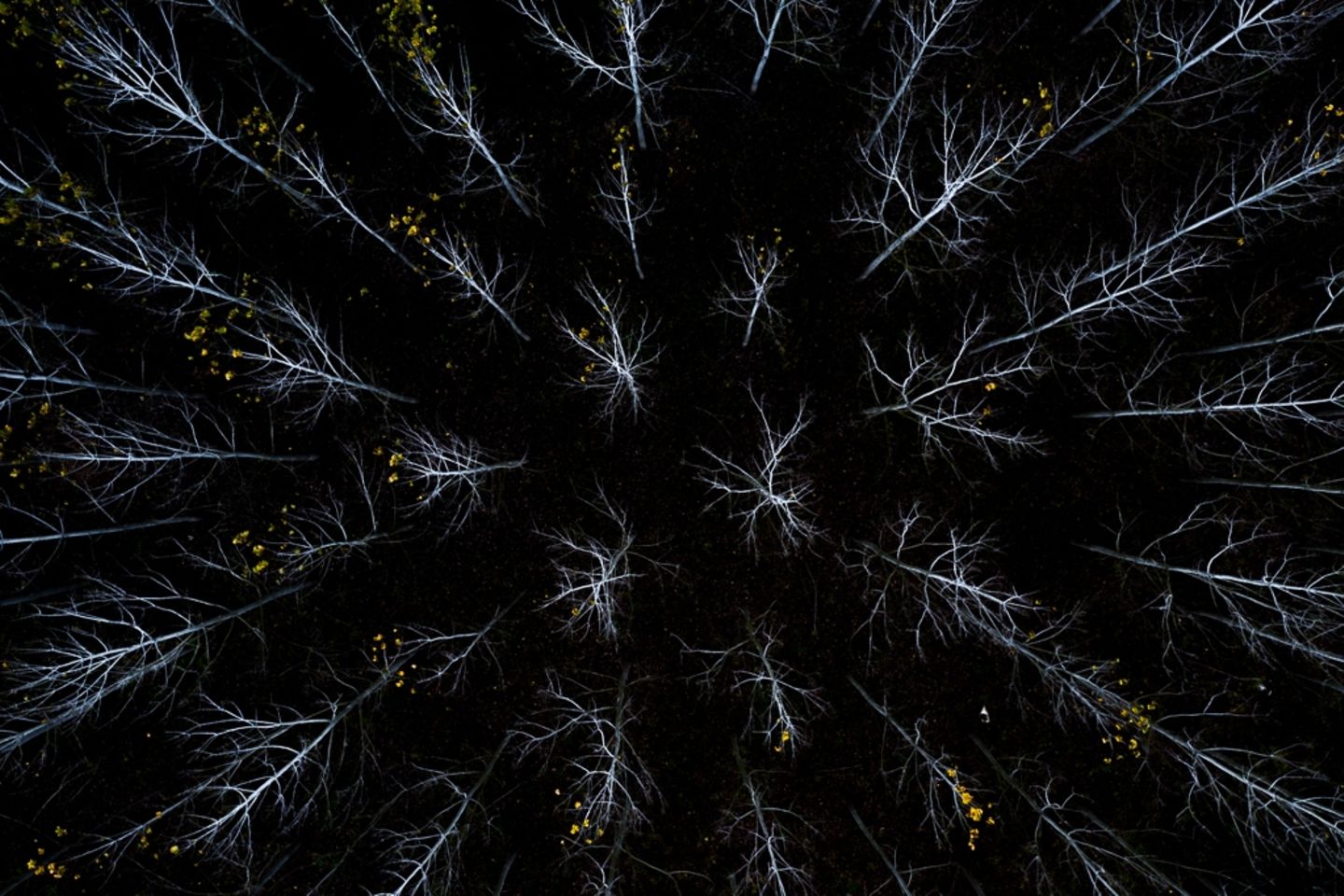 Silvano Paiola/Drone Photo Awards 2021