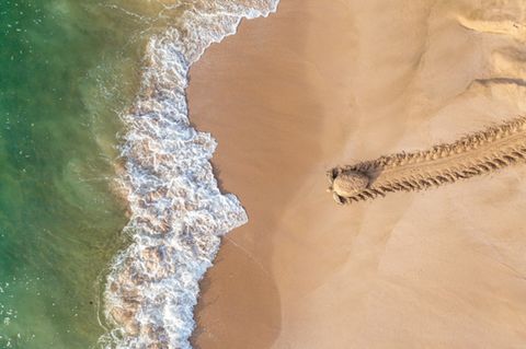 Qasim Al Farsi /Drone Photo Awards 2021