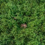 Sujon Adhikary/Drone Photo Awards 2021