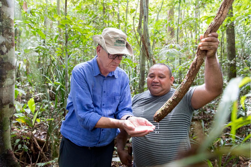 Bundesentwicklungsminister Gerd Müller (CSU) und ein Forstwirt besichtigen im brasilianischen Regenwald Pflanzen, die als Wasserspeicher des Amazonas dienen (Aufnahme von 2019)