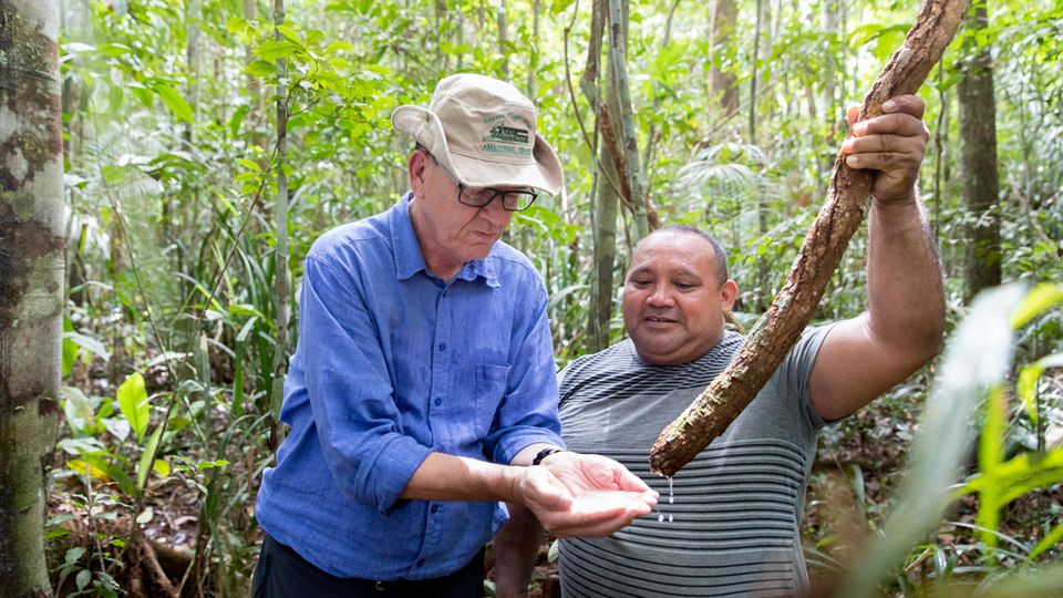 Im Kampf für eine bessere Welt: Bundesentwicklungsminister Gerd Müller (CSU) und ein Forstwirt besichtigen im brasilianischen Regenwald Pflanzen, die als Wasserspeicher des Amazonas dienen (Aufnahme von 2019) Bundesentwicklungsminister Gerd Müller (CSU) und ein Forstwirt besichtigen im brasilianischen Regenwald Pflanzen, die als Wasserspeicher des Amazonas dienen (Aufnahme von 2019)