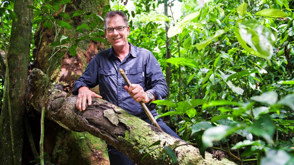 Bundesentwicklungsminister Gerd Müller im Regenwald Bundesentwicklungsminister Gerd Müller im Regenwald