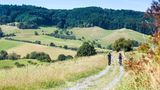 Zwei Mountainbiker fahren auf einem Trail im Odenwald entlang