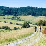 Zwei Mountainbiker fahren auf einem Trail im Odenwald entlang