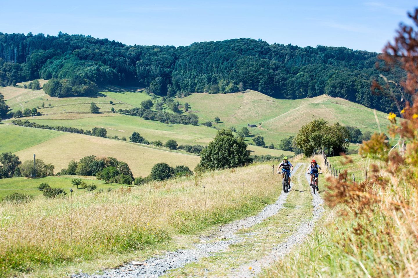 Odenwald Zwei Mountainbiker fahren auf einem Trail im Odenwald entlang