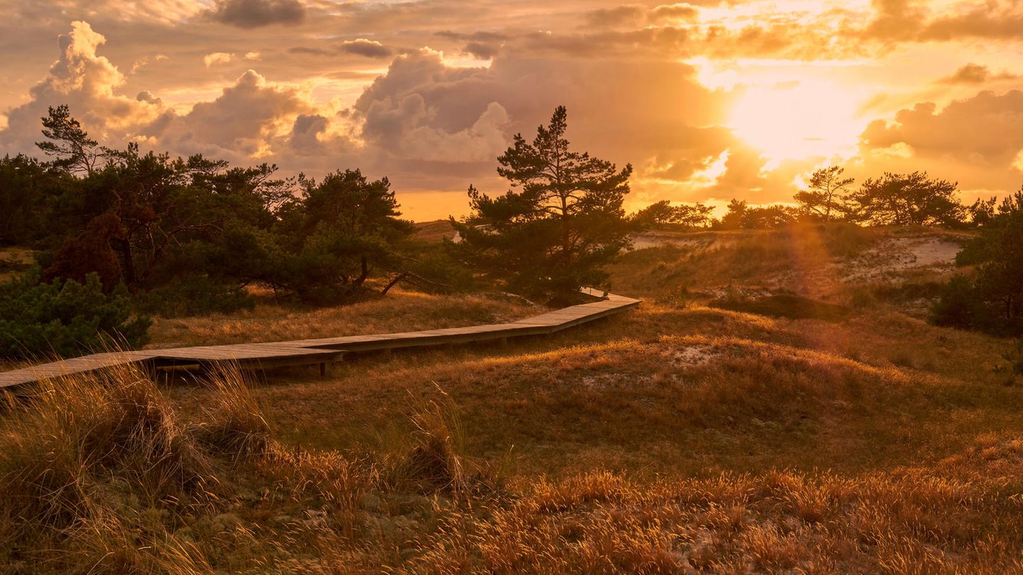 Nationalpark Vorpommersche Boddenlandschaft Blick auf das Meer