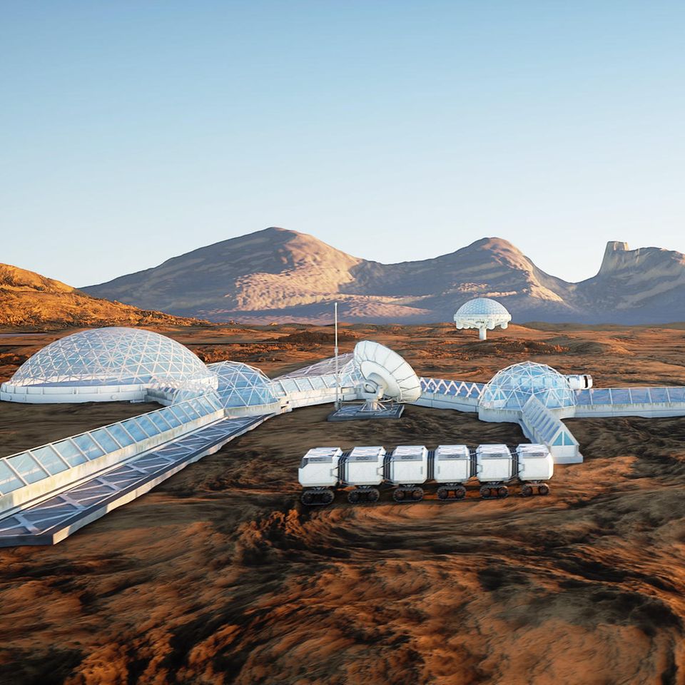 Schon seit Längerem arbeitet die Wissenschaft an Plänen, den Mars zu kolonisieren. Im Fokus der Überlegungen steht auch der Anbau von Nahrungsmitteln