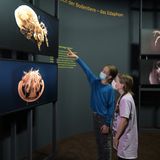 Makro-Aufnahmen zeigen Tiere, die unter der Erde leben. Viele von ihnen können wir mit bloßem Auge nicht erkennen.