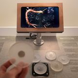 Auf Bildschirmen werden Bodentiere untersucht und bestimmt.