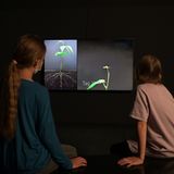 Die Kinder verfolgen im Film das Wachstum einer Bohne.