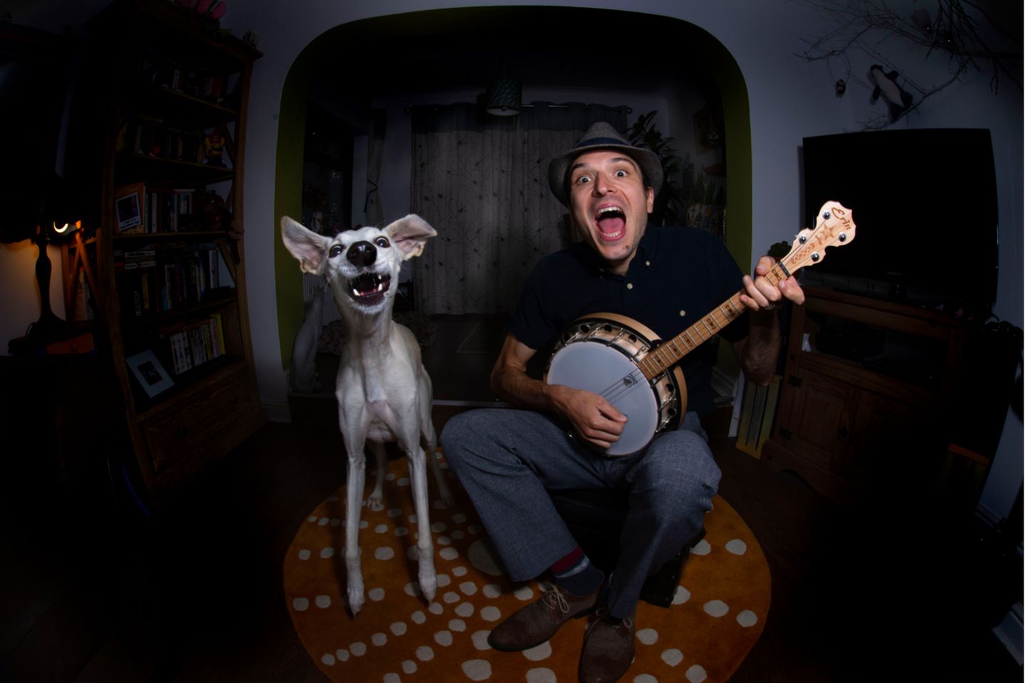 Animal Friends Comedy Pet Photo Awards