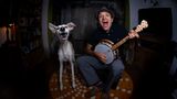 Animal Friends Comedy Pet Photo Awards
