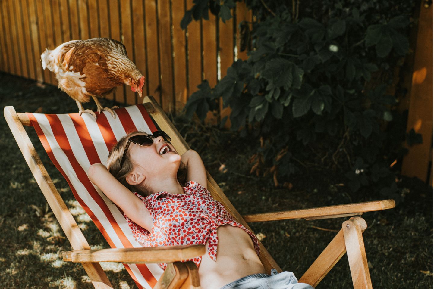 Animal Friends Comedy Pet Photo Awards