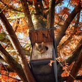 Animal Friends Comedy Pet Photo Awards