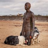 Animal Friends Comedy Pet Photo Awards